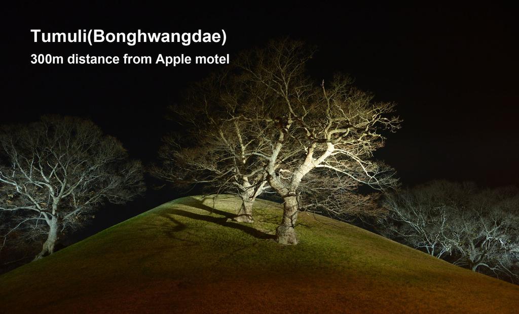Apple House Μοτέλ Γκιονγκγού Εξωτερικό φωτογραφία